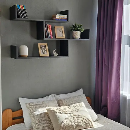 بيت ضيافة Muzeja ريغا