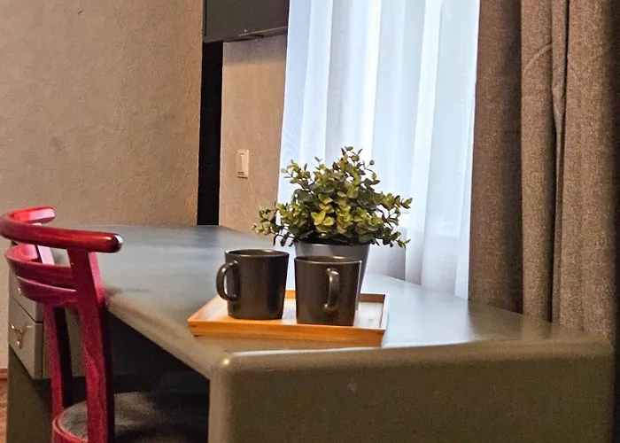 招待所 Muzeja 里加