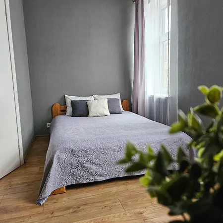 Muzeja Guest house *