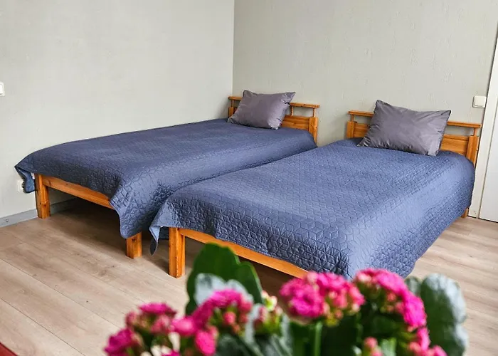 Affittacamere Muzeja Riga